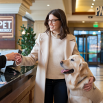 Pawsome Deals: Top Budget-Friendly Hotels for Puppy Parents!