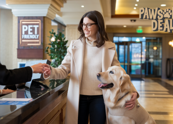 Pawsome Deals: Top Budget-Friendly Hotels for Puppy Parents!