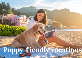 Unleash Adventure: The Ultimate Puppy-Friendly Vacation Spots!