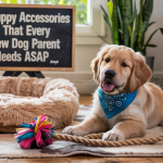 5 Puppy Accessories That Every New Dog Parent Needs ASAP