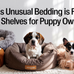 Why This Unusual Bedding is Flying Off the Shelves for Puppy Owners
