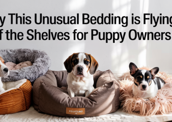 Why This Unusual Bedding is Flying Off the Shelves for Puppy Owners